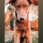 Ersteller:in Denise Profilbild