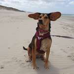 Ersteller:in Patrizia Profilbild