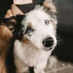 Ersteller:in Sandra Profilbild