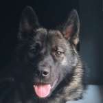 Ersteller:in Jenny Profilbild