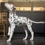 Ersteller:in Lena Profilbild