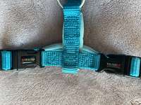 WOLTERS HUNDEGESCHIRR-Beitrag-Bild