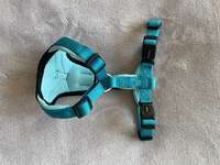 WOLTERS HUNDEGESCHIRR-Beitrag-Bild