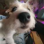 Ersteller:in Peter Profilbild