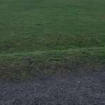 Hundeauslaufgebiet-Lichtenbroich-Bild