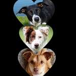 Ersteller:in Soffi Profilbild