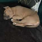 Ersteller:in Terezie Profilbild