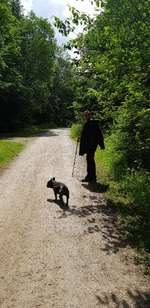 Hundeauslaufgebiet-Sulzbachtal-Bild