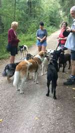 Hundeauslaufgebiet-Sulzbachtal-Bild