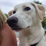 Ersteller:in Jessica Profilbild