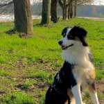 Ersteller:in Nele Profilbild