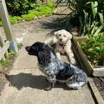 Ersteller:in Janine Profilbild