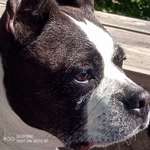 Ersteller:in Conny Profilbild