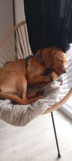 Wir sind nicht allein-Beitrag-Bild