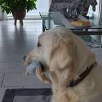 Ersteller:in Manuela Profilbild