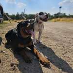 Ersteller:in Michelle Profilbild