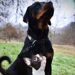 Ersteller:in Michelle Profilbild