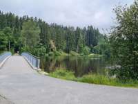 Hundeauslaufgebiet-Stausee Regen-Bild