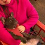 Ersteller:in Elena Profilbild