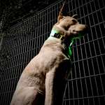 Ersteller:in Mike Profilbild