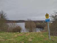 Hundeauslaufgebiet-Ziegelsee Nord-Bild