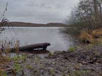 Hundeauslaufgebiet-Ziegelsee Nord-Bild