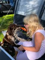 Erster Campingurlaub mit 14 Wochen alten Welpen-Beitrag-Bild