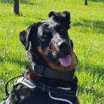 Ersteller:in Sybille Profilbild