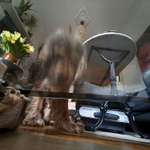 Fotoshooting-Beitrag-Bild