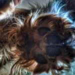 Fotoshooting-Beitrag-Bild