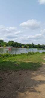 Hundeauslaufgebiet-Wöhrdersee-Bild