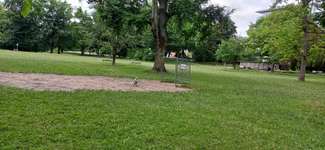 Hundeauslaufgebiet-Cramer Klett Park-Bild