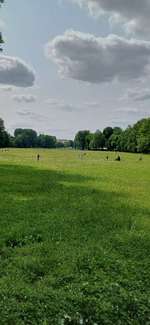 Hundeauslaufgebiet-Wöhrder Wiese-Bild