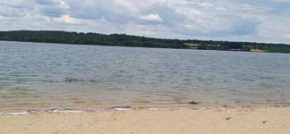 Hundeauslaufgebiet-Rothsee-Bild