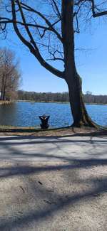 Hundeauslaufgebiet-Volkspark Dutzendteich-Bild