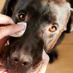 Schlaf Sand wie am besten weg bekommen-Beitrag-Bild