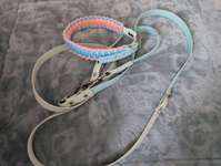 Hundezubehör-Beitrag-Bild