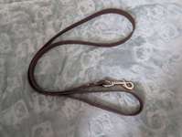 Hundezubehör-Beitrag-Bild