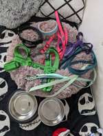 Hundezubehör-Beitrag-Bild