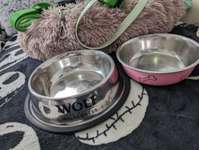 Hundezubehör-Beitrag-Bild