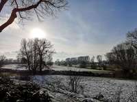 Hundeauslaufgebiet-Urdenbacher Altrhein-Bild