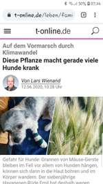 Mäuse-Gerste auf dem Vormarsch! Die unterschätzte Gefahr-Beitrag-Bild