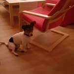 Ersteller:in Inge Profilbild