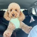 Ersteller:in Nancy Profilbild