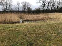 Hundeauslaufgebiet-Sömmerda-Bild