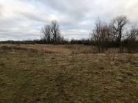 Hundeauslaufgebiet-Sömmerda-Bild