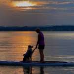 Ersteller:in Selina Profilbild