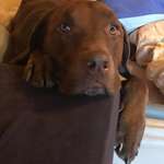 Ersteller:in Kaloyan Profilbild