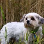 Ersteller:in jana Profilbild