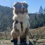 Ersteller:in Maria Profilbild